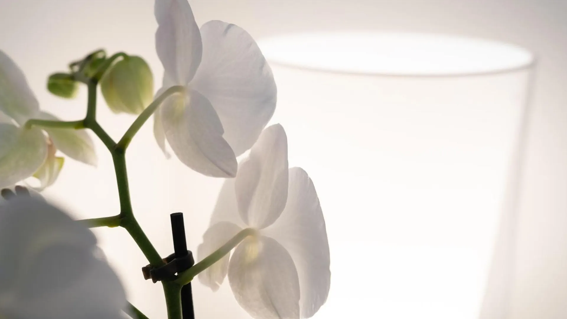 *** Vendégház Suite Inn Catania Olaszország