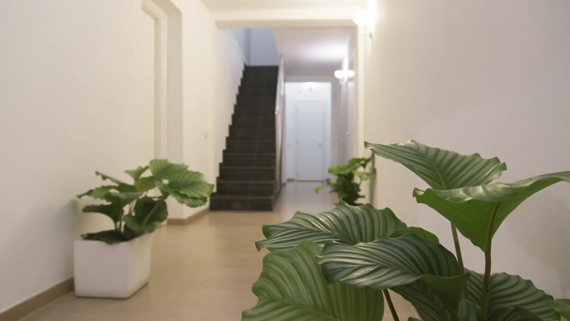 Πανσιόν Suite Inn Κατάνια